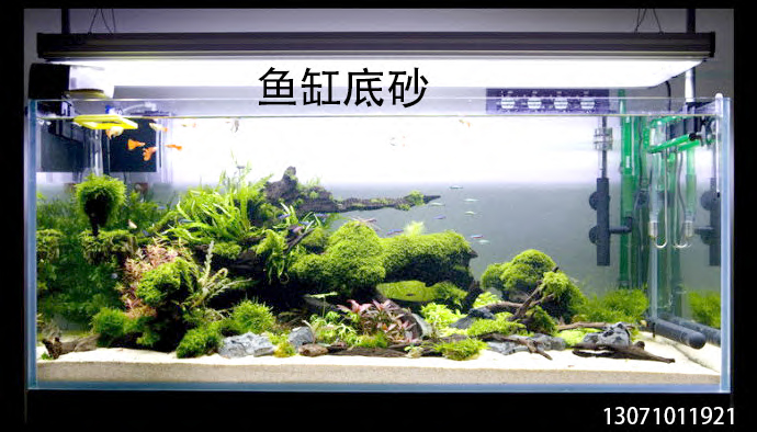 ~׵ɰ쾰ɳ